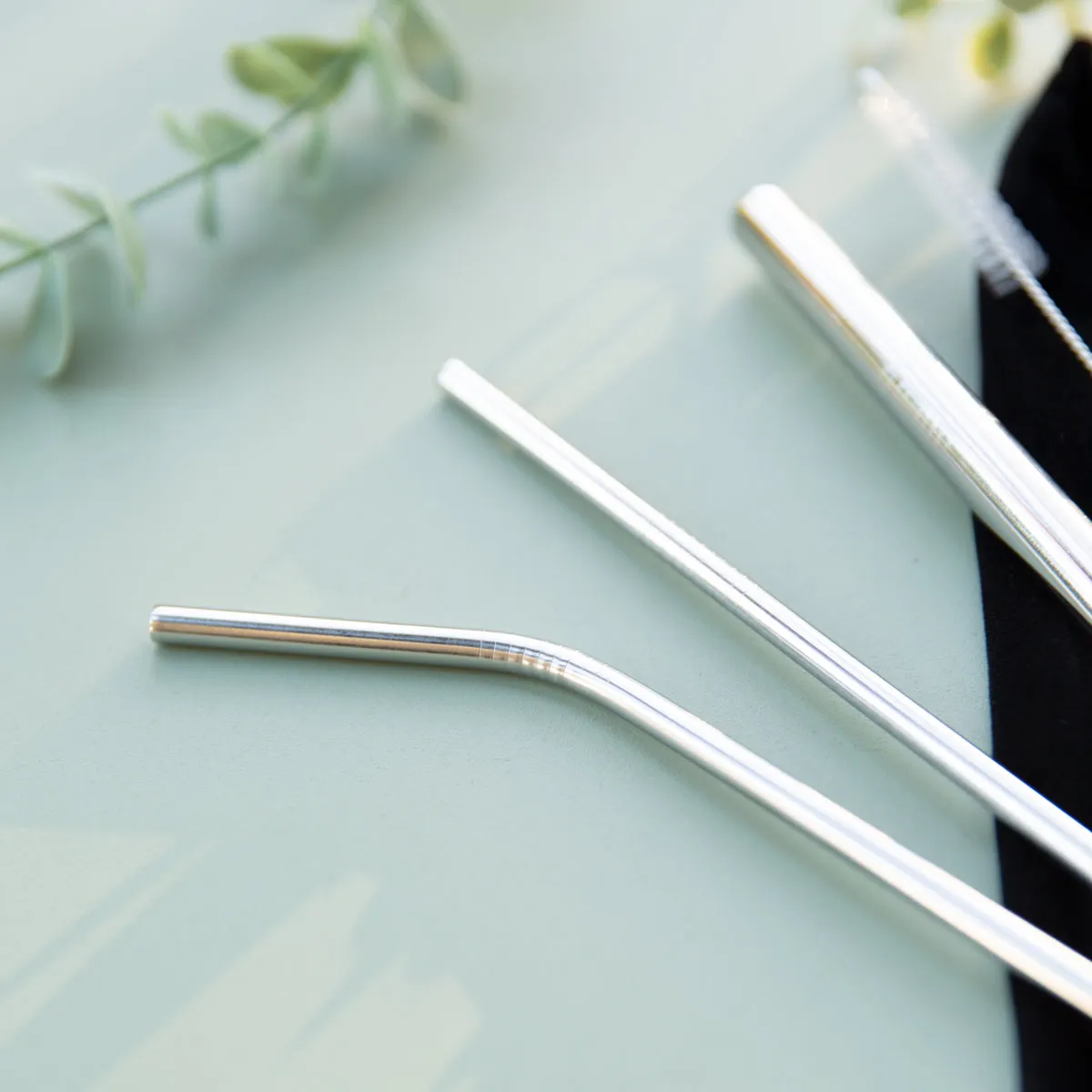 4 Piece Stainless Steel Straw Set